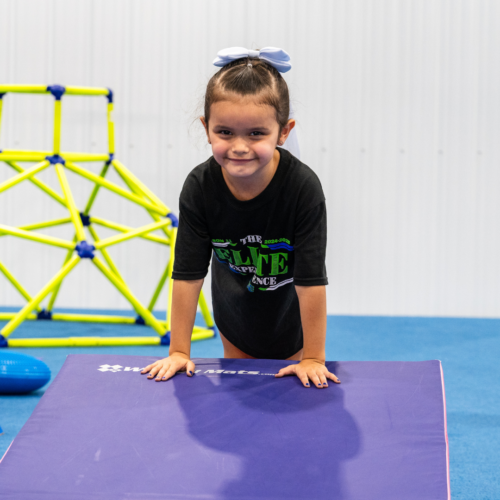 North Dakota Elite Sioux Falls Mini Tumblers